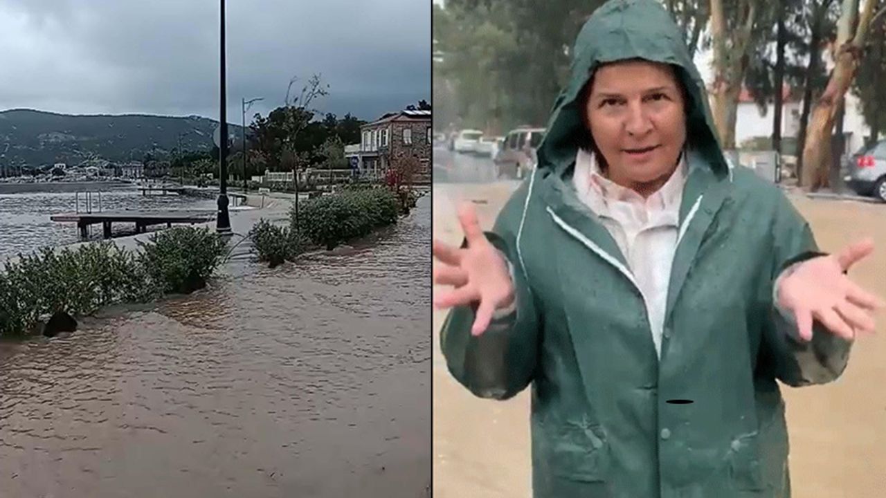 Foça felaketi yaşıyor: “160 kilogramı aştı”