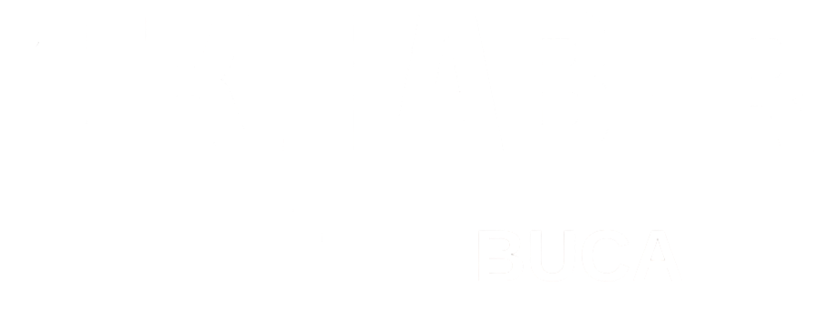 theme-sticky-logo-alt