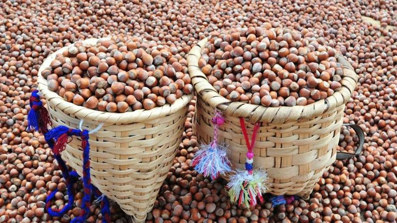 Nutella üreticisi fındık alımını durdurmuştu: Rekabet Kurumu’ndan açıklama