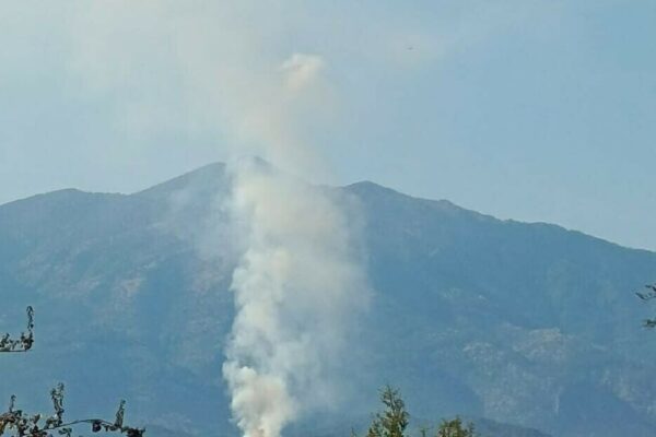 Muğla’da orman yangını Muğla’da orman yangını