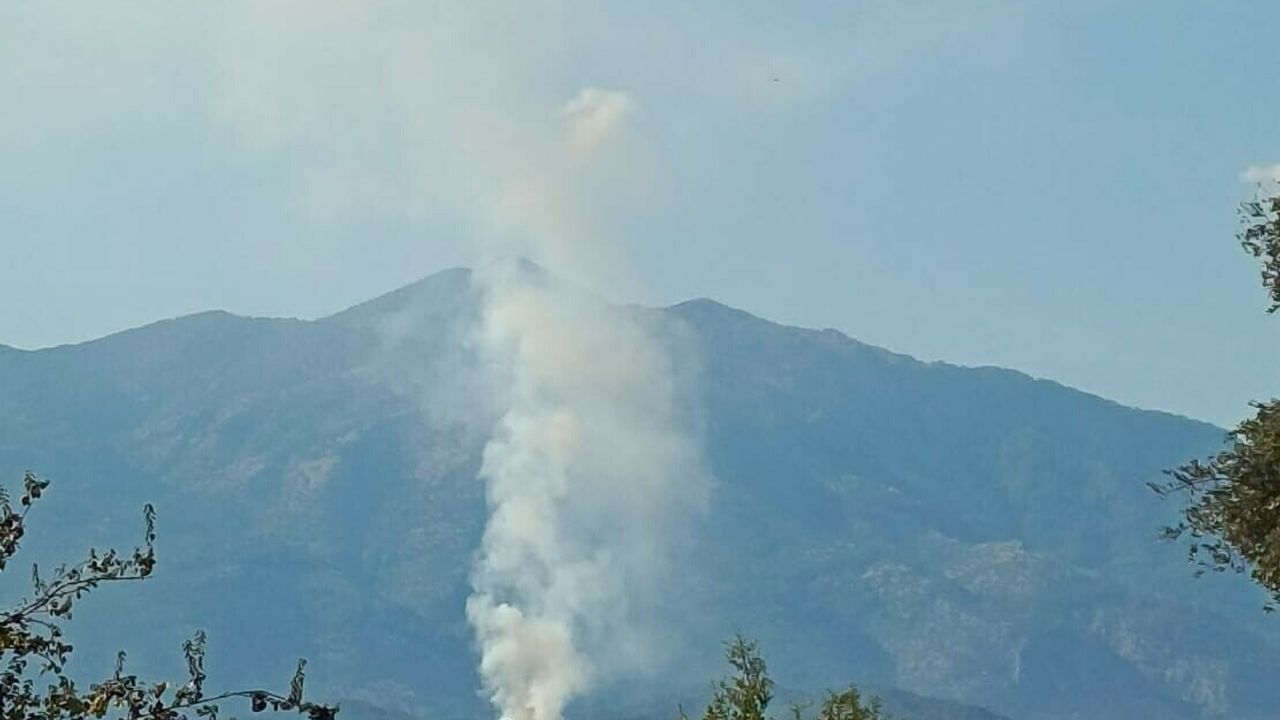 Muğla’da orman yangını
