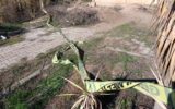 Yol kenarında kadın cesedi bulundu Yol kenarında kadın cesedi bulundu