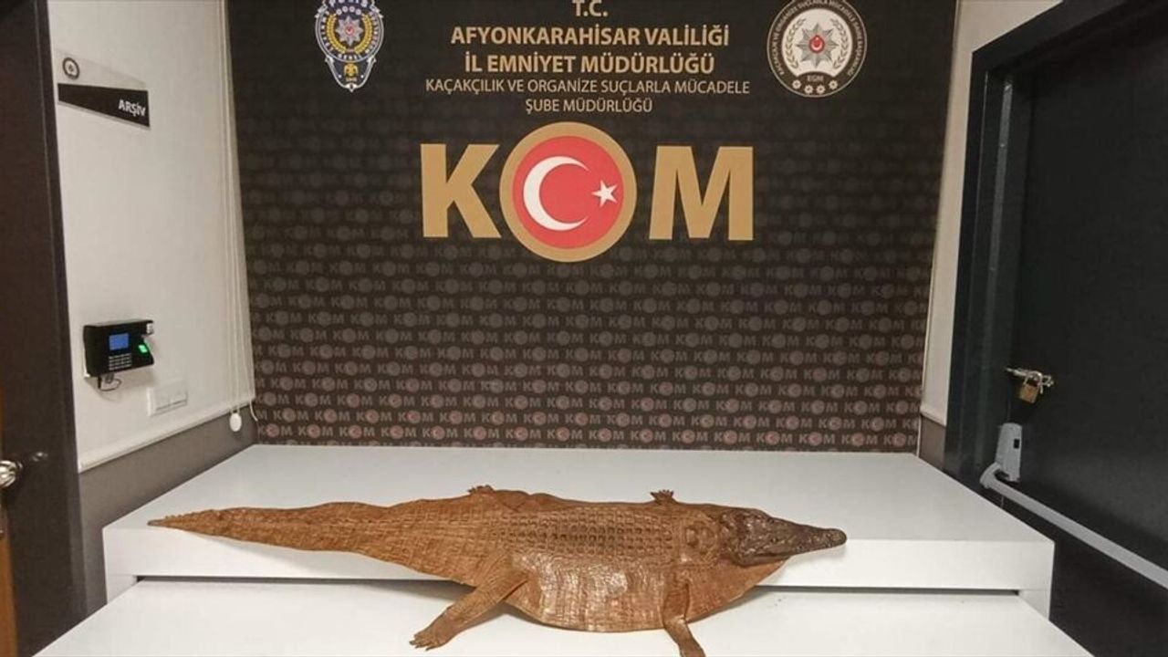 Afyonkarahisar’da timsah derisi ele geçirildi