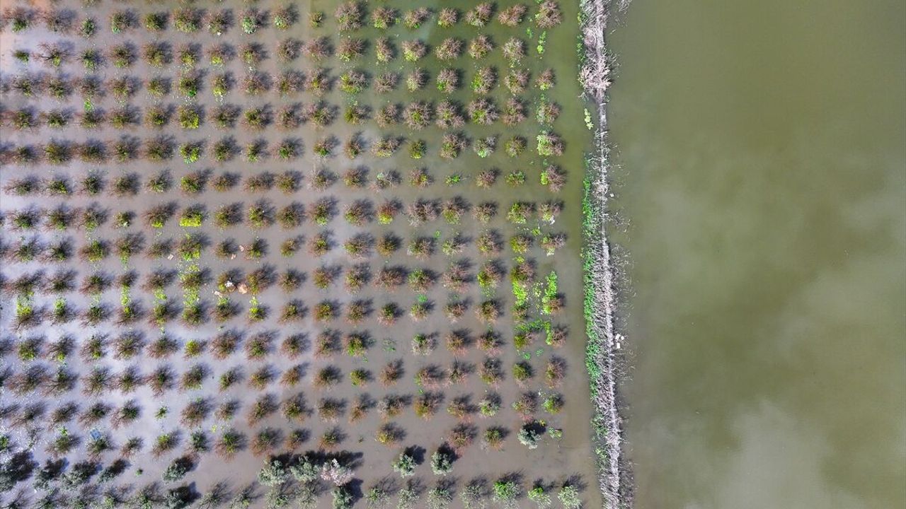 İzmir’i sağanak vurdu: Tarım arazileri sular altında!