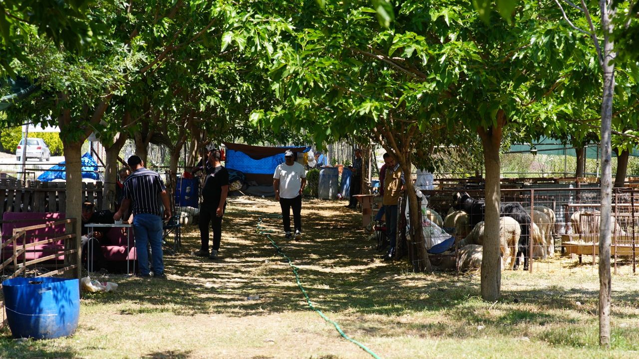 Seferihisar’dan Kurban Bayramı’nda dayanışma çağrısı!