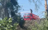 Antalya’da 2 orman yangını! Antalya’da 2 orman yangını!
