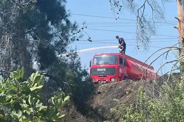 Antalya’da 2 orman yangını! Antalya’da 2 orman yangını!