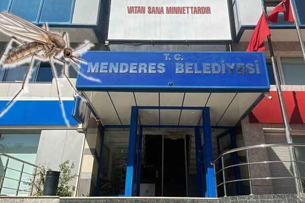 Sinek isyanına enteresan savunma: Önceliğimiz arıl... Sinek isyanına enteresan savunma: Önceliğimiz arıl...