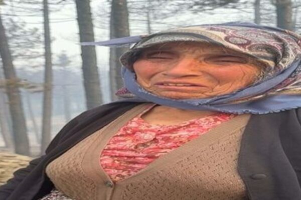 Orman yangınında kaybolan köpeği için gözyaşı dökt... Orman yangınında kaybolan köpeği için gözyaşı dökt...