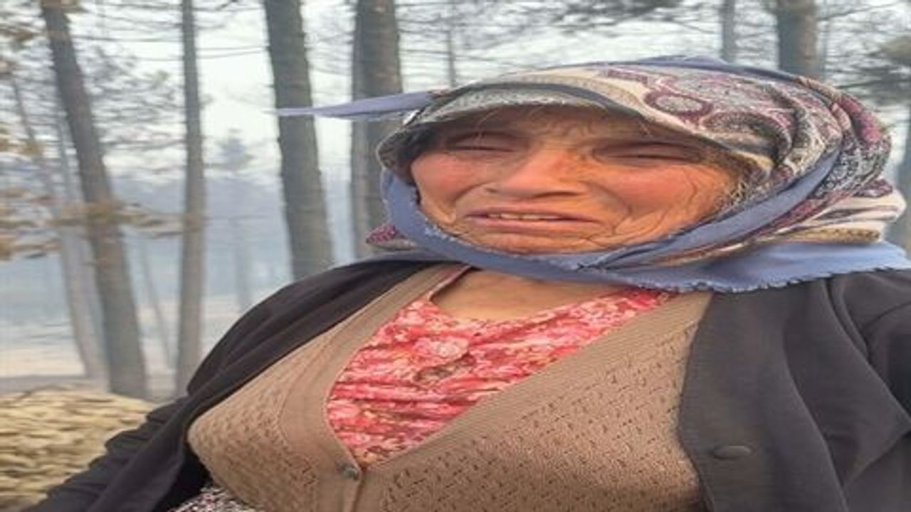 Orman yangınında kaybolan köpeği için gözyaşı döktü