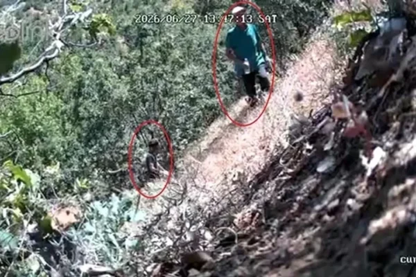 CHP ilçe başkanı ve oğlu fotokapana yakalandı: Ken... CHP ilçe başkanı ve oğlu fotokapana yakalandı: Ken...