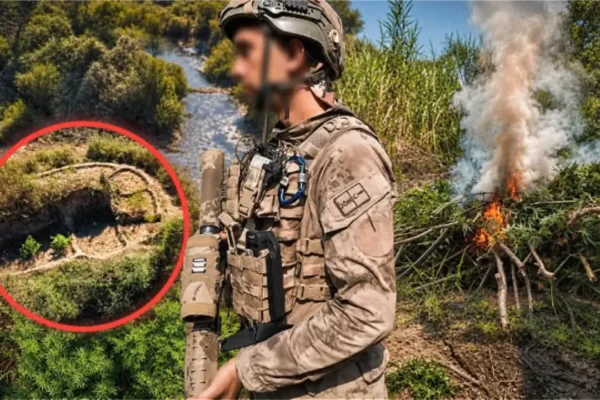Uyuşturucu tarlalarına operasyon: 9,1 tonluk üreti... Uyuşturucu tarlalarına operasyon: 9,1 tonluk üreti...
