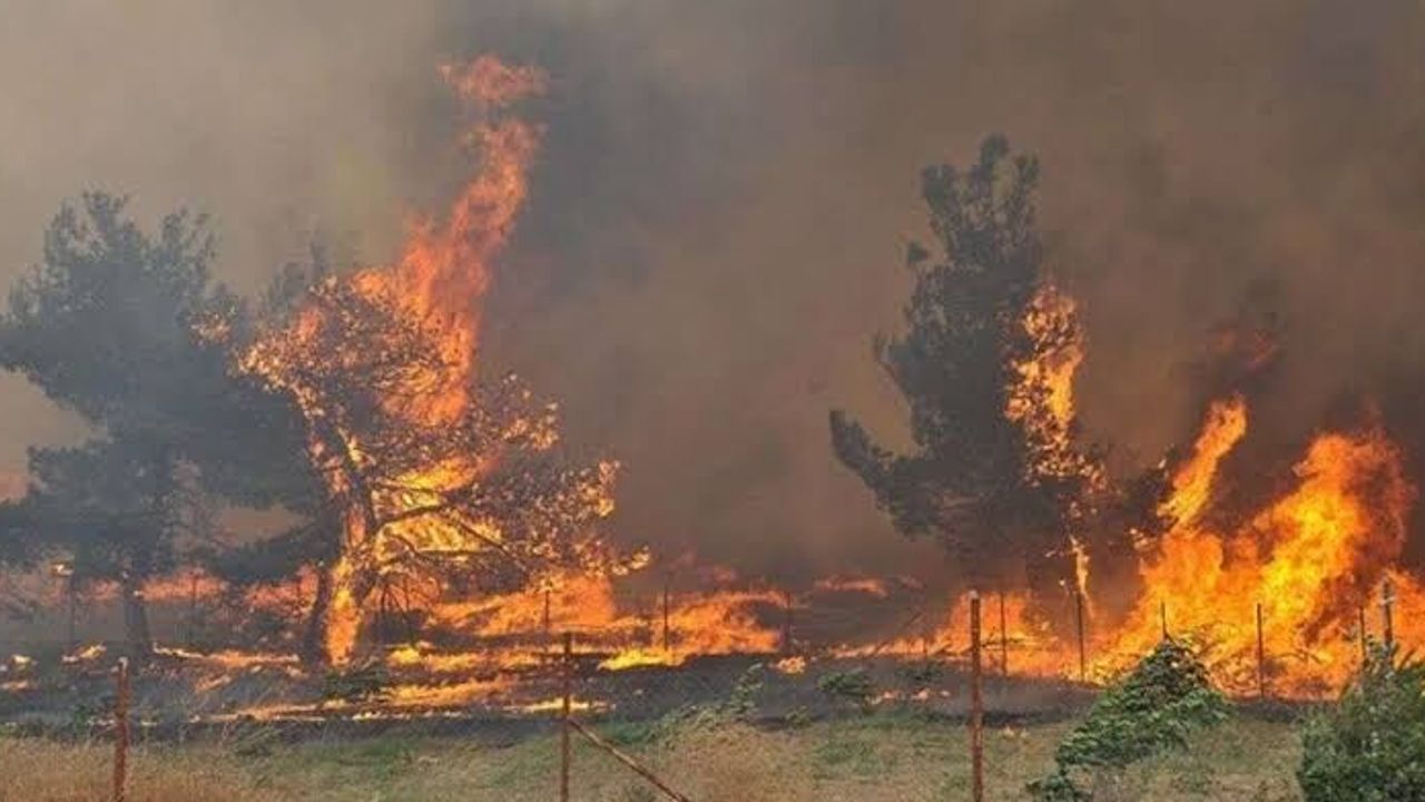 Muğla Valiliği’nden kritik yangın uyarısı: Sıcaklık artıyor, risk büyüyor