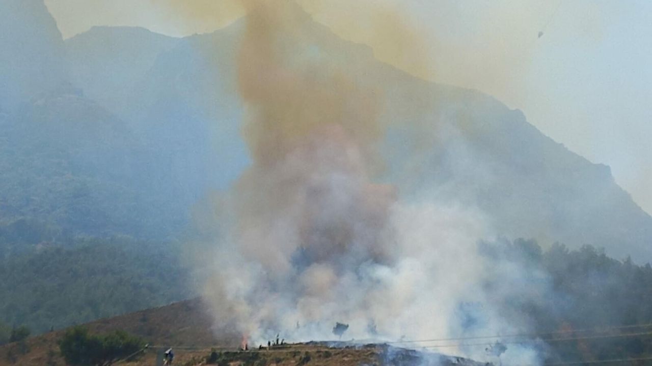Manisa’da orman yangını: Kontrol altına alındı
