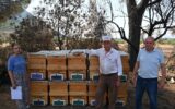 Yangında kovanları zarar gören arıcıya Büyükşehir’... Yangında kovanları zarar gören arıcıya Büyükşehir’...