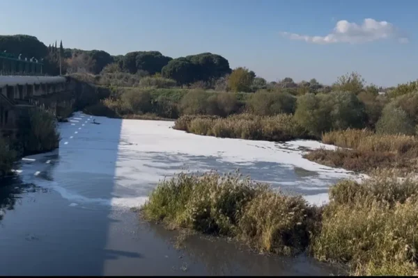 DEM Partili Akın’dan Bakan Kurum’a Körfez soruları... DEM Partili Akın’dan Bakan Kurum’a Körfez soruları...